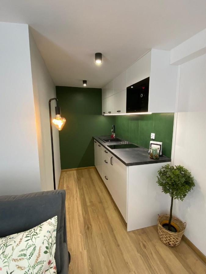 U Gazdy - Apartament Z Ogrodem I Tarasem , Przy Gondoli Szczyrk Exterior photo